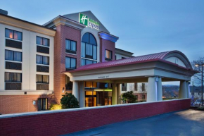  Holiday Inn Express Hotel & Suites Greenville-Downtown, an IHG Hotel  Гринвилл